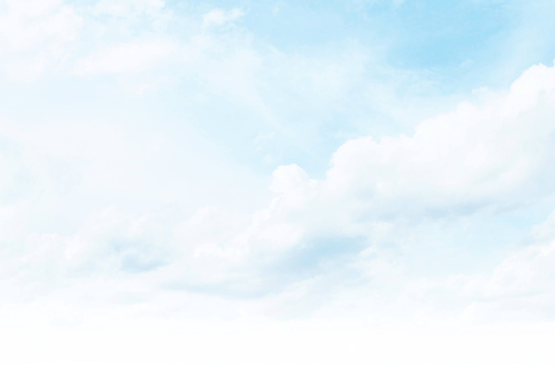 Digital Marketing Agency